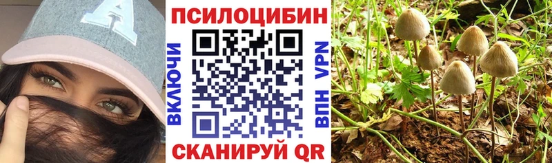 Купить закладки  Малоярославец  Галлюциногенные грибы MAGIC MUSHROOMS 